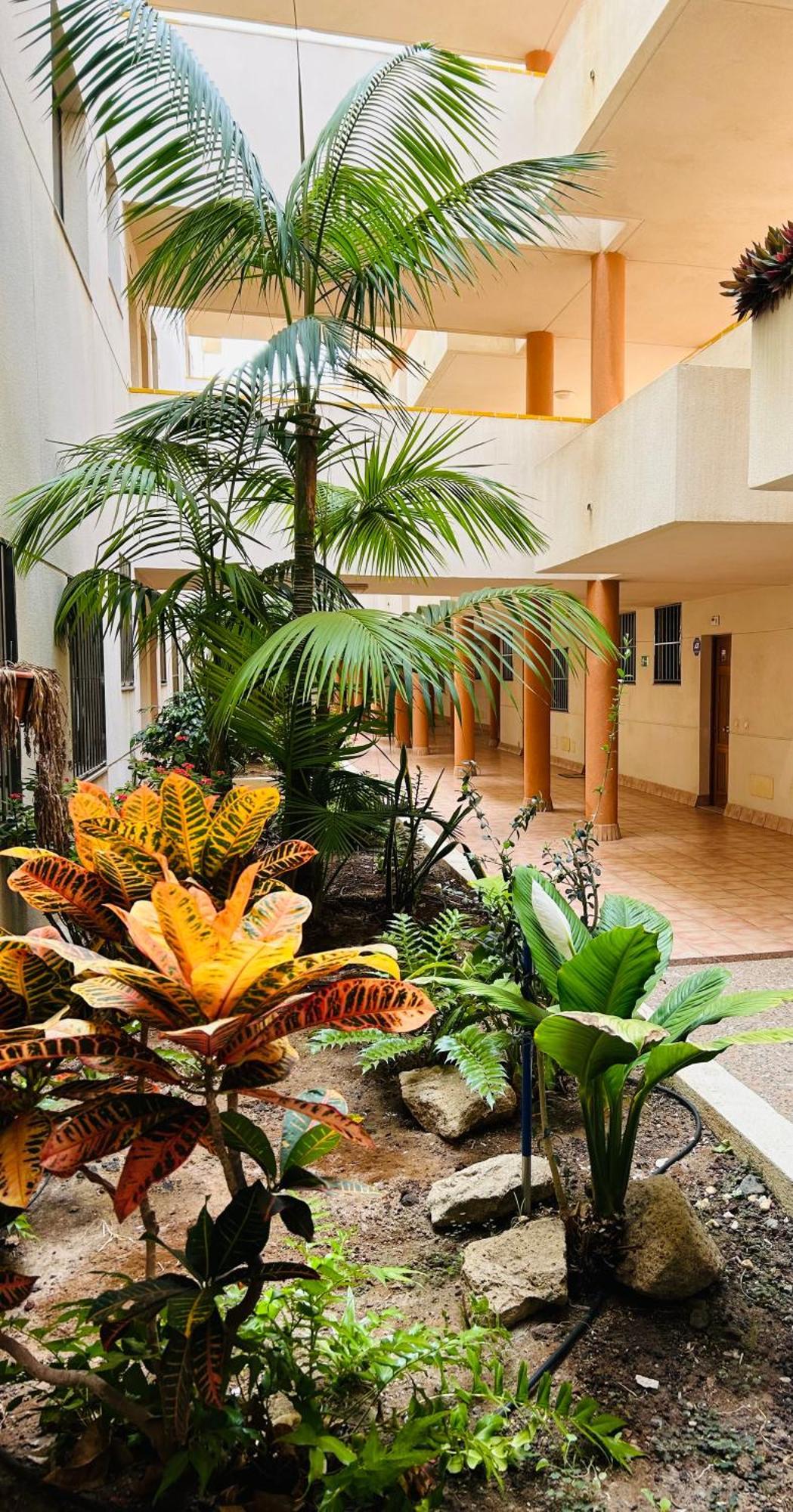 El Medano La Ola. Cabezo Beach 2 Rooms Parking Place Екстериор снимка